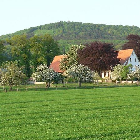 Ferienwohnung An Der Obstwiese Borgholzhausen Exterior foto